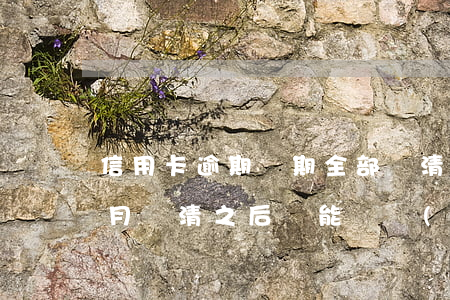 信用卡逾期兩期全部還清(信用卡逾期兩個多月還清之后還能繼續(xù)用嗎)