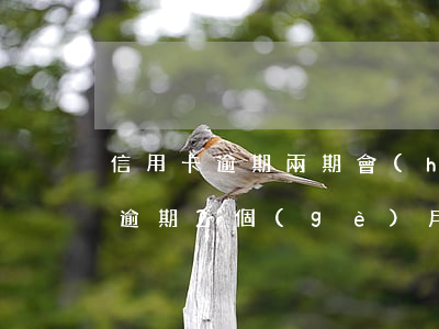 信用卡逾期兩期會(huì)怎么樣(信用卡逾期2個(gè)月會(huì)不會(huì)很嚴(yán)重)
