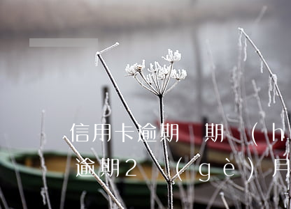 信用卡逾期兩期會(huì)起訴嗎(信用卡逾期2個(gè)月會(huì)起訴嗎?)