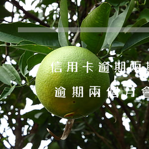 信用卡逾期兩期會凍結(jié)嗎(信用卡逾期兩個月會被凍結(jié)嗎)