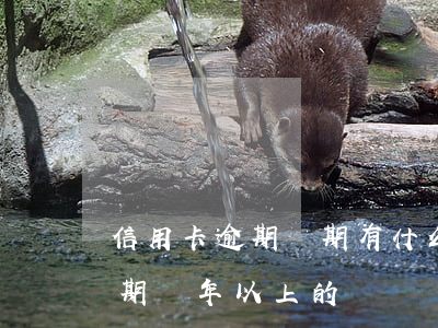 信用卡逾期兩期有什么影響(有沒有信用卡逾期兩年以上的)
