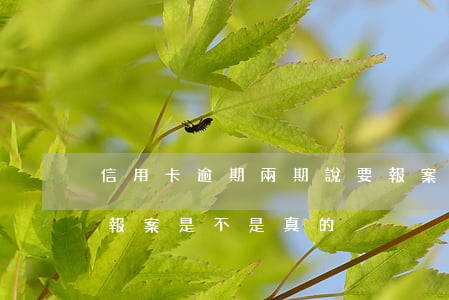信用卡逾期兩期說要報案(信用卡逾期銀行說報案是不是真的)