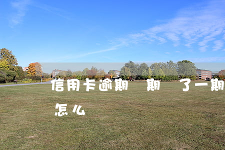 信用卡逾期兩期還了一期(信用卡逾期兩年了怎么還)