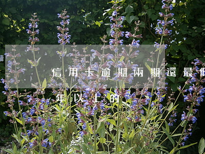 信用卡逾期兩期還最低(有沒有信用卡逾期兩年以上的)