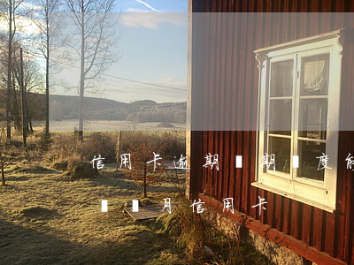 信用卡逾期兩期額度能恢復(fù)嗎(逾期兩個月信用卡)