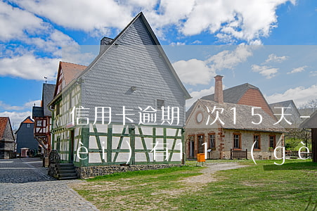 信用卡逾期兩次15天-信用卡5年內(nèi)有11個(gè)月逾期