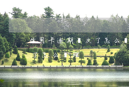 信用卡逾期兩次了怎么處理(信用卡逾期兩次了怎么處理)
