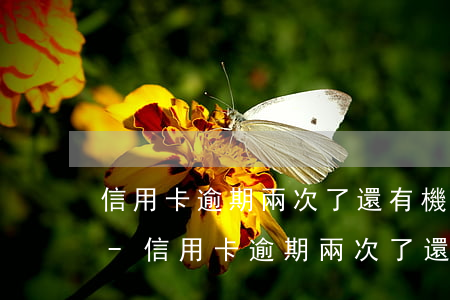 信用卡逾期兩次了還有機(jī)會提額嗎-信用卡逾期兩次了還有機(jī)會提額嗎知乎