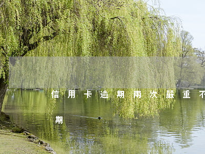 信用卡逾期兩次嚴重不(兩年十幾次信用卡逾期)