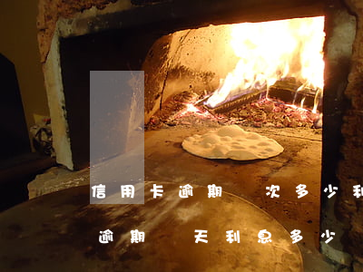 信用卡逾期兩次多少利息-信用卡5000逾期兩天利息多少
