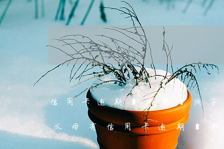 信用卡逾期兩次影響孩子上學(xué)嗎(父母有信用卡逾期會影響孩子上學(xué)嗎)