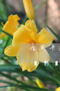 信用卡逾期兩次影響買房(信用卡一兩次逾期會影響貸款買房嗎)