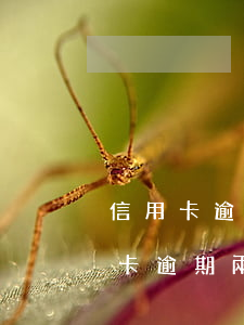 信用卡逾期兩次征信會有問題嗎怎么辦（信用卡逾期兩次征信會有問題嗎）