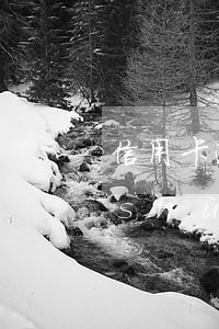 信用卡逾期兩次怎么刪除(信用卡逾期次數(shù)太多能消除嗎?)
