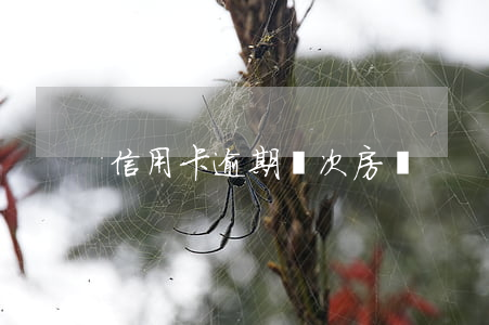 信用卡逾期兩次房貸