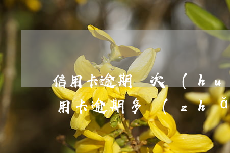 信用卡逾期兩次會(huì)是黑名單嗎(信用卡逾期多長(zhǎng)時(shí)間算黑名單)