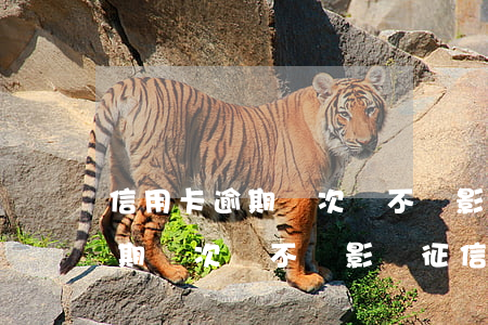 信用卡逾期兩次會不會影響征信-信用卡逾期兩次會不會影響征信記錄
