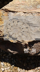 信用卡逾期兩次會影響個人征信嗎
