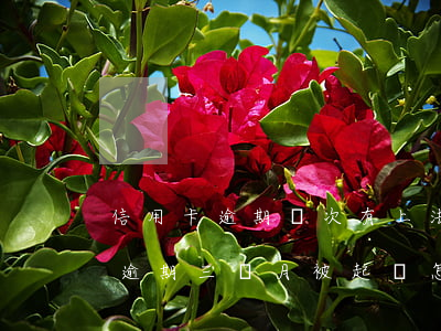 信用卡逾期兩次有上法庭的嗎(兩萬多信用卡逾期三個月被起訴怎么辦)