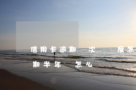 信用卡逾期兩次沒額度怎么辦(信用卡2萬逾期半年會怎么辦)