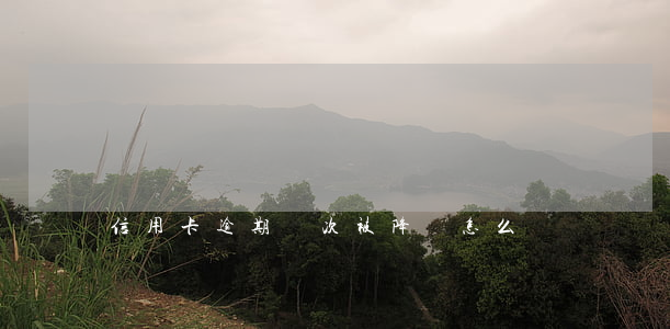 信用卡逾期兩次被降額怎么辦