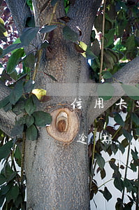 信用卡逾期兩次通知還款會怎么樣-信用卡逾期兩次通知還款會怎么樣嗎