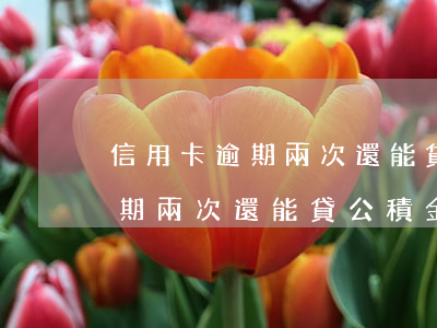 信用卡逾期兩次還能貸公積金嗎-信用卡逾期兩次還能貸公積金嗎