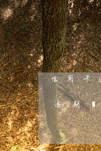 信用卡逾期兩百多塊錢(qián)(信用卡逾期幾千塊錢(qián)有事嗎)