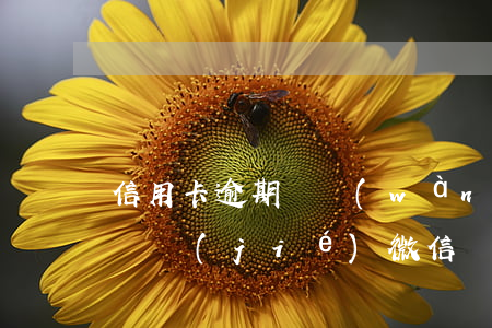 信用卡逾期兩萬(wàn)多會(huì)凍結(jié)微信嗎 欠信用卡幾千元會(huì)凍結(jié)微信