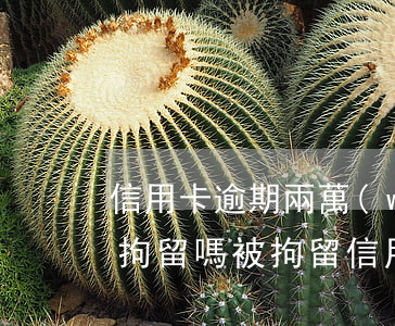 信用卡逾期兩萬(wàn)多會(huì)拘留嗎(被拘留信用卡逾期會(huì)怎么樣)