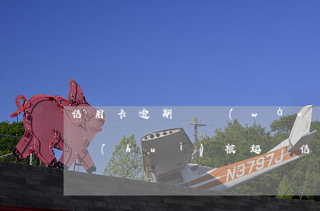 信用卡逾期兩萬(wàn)會(huì)不會(huì)被起訴(信用卡2萬(wàn)逾期多久會(huì)被起訴)