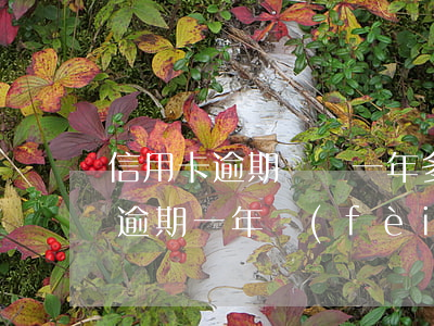 信用卡逾期兩萬一年多少利息(兩萬的信用卡逾期一年費(fèi)用多少)