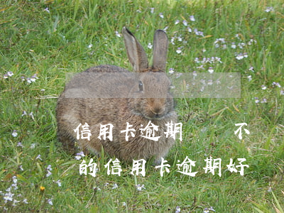 信用卡逾期兩萬不還會(huì)怎樣(兩萬的信用卡逾期好幾個(gè)月一直沒還嚴(yán)重嗎)