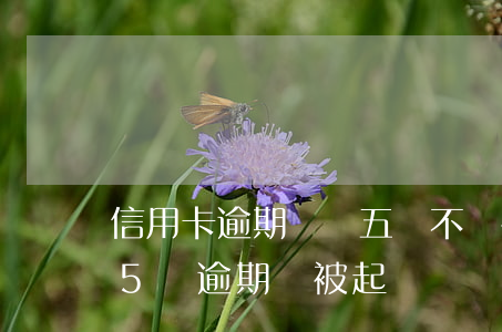 信用卡逾期兩萬五會不會被起訴(信用卡2.5萬逾期會被起訴嗎)