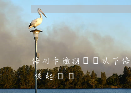 信用卡逾期兩萬以下(信用卡逾期兩萬以下會被起訴嗎)