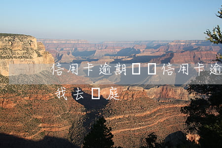 信用卡逾期兩萬(信用卡逾期兩萬被起訴了讓我去開庭)