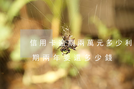信用卡逾期兩萬元多少利息(一萬的信用卡逾期兩年要還多少錢)