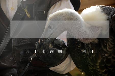 信用卡逾期兩萬四千