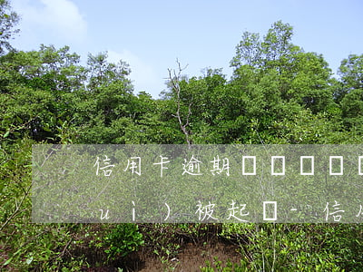 信用卡逾期兩萬塊錢會(huì)不會(huì)被起訴-信用卡逾期兩萬塊錢會(huì)不會(huì)被起訴呢