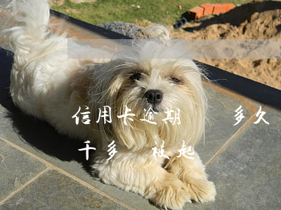 信用卡逾期兩萬多久會被起訴(信用卡逾期兩千多會被起訴嗎)