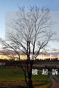 信用卡逾期兩萬會被傳票嗎(欠信用卡兩萬會被起訴嗎)