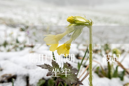 信用卡逾期兩萬會被起訴(信用卡逾期二萬起訴會坐牢嗎)