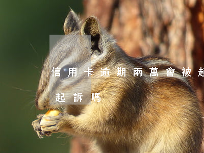 信用卡逾期兩萬會被起訴(欠信用卡兩萬會被起訴嗎)