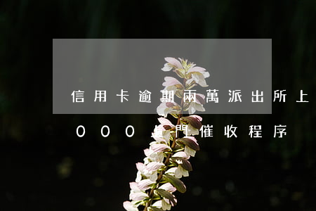 信用卡逾期兩萬派出所上門催收(欠信用卡8000上門催收程序)