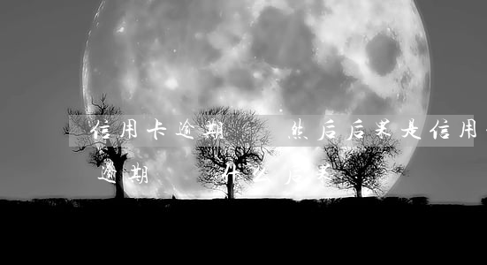 信用卡逾期兩萬然后后果是(信用卡2萬以下逾期沒還什么后果)
