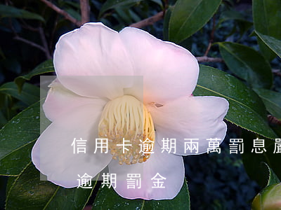 信用卡逾期兩萬罰息嚴(yán)重(信用卡逾期罰金)