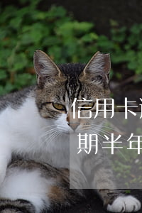 信用卡逾期兩萬還不上怎么辦(信用卡2萬逾期半年會怎么辦)