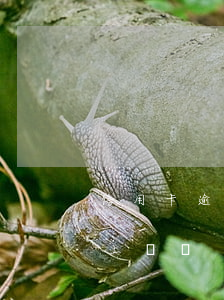 信用卡逾期兩萬銀行(信用卡逾期兩萬銀行會上門嗎)
