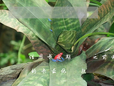 信用卡逾期兩點之前必須還一部分(逾期兩期的卡最低還款)