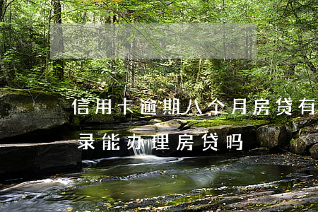 信用卡逾期八个月房贷(有8次信用卡逾期记录,能办理房贷吗)
